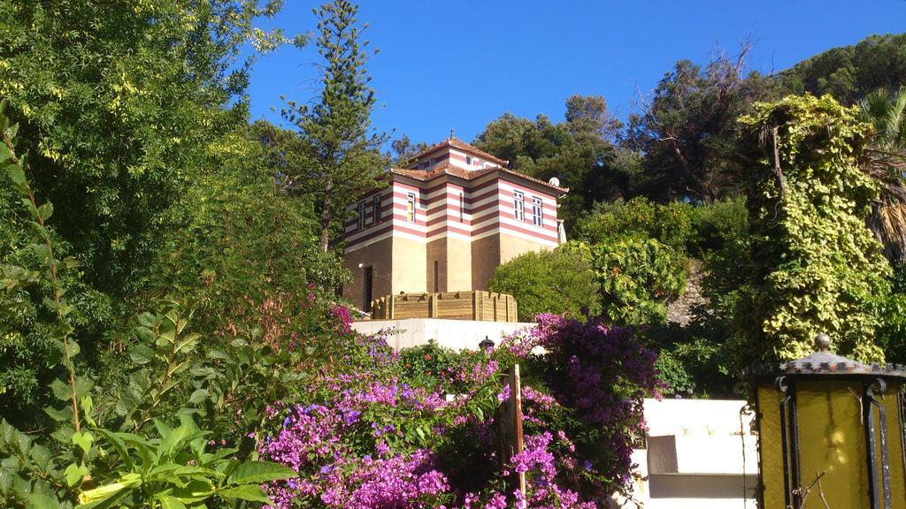 Chalet Monchique Holiday home *