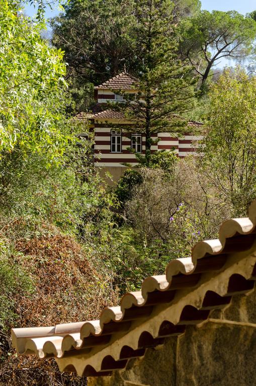 Chalet Monchique Holiday home Monchique