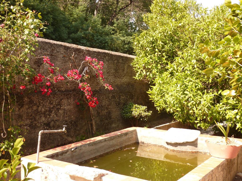 Holiday home Chalet Monchique *